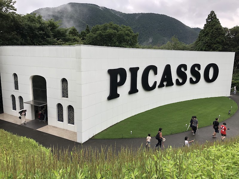 Picasso Pavilion photo