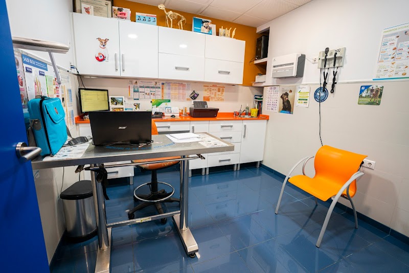 Clínica Veterinaria San Sebastián