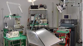 Centro Clínico Veterinario Serrano