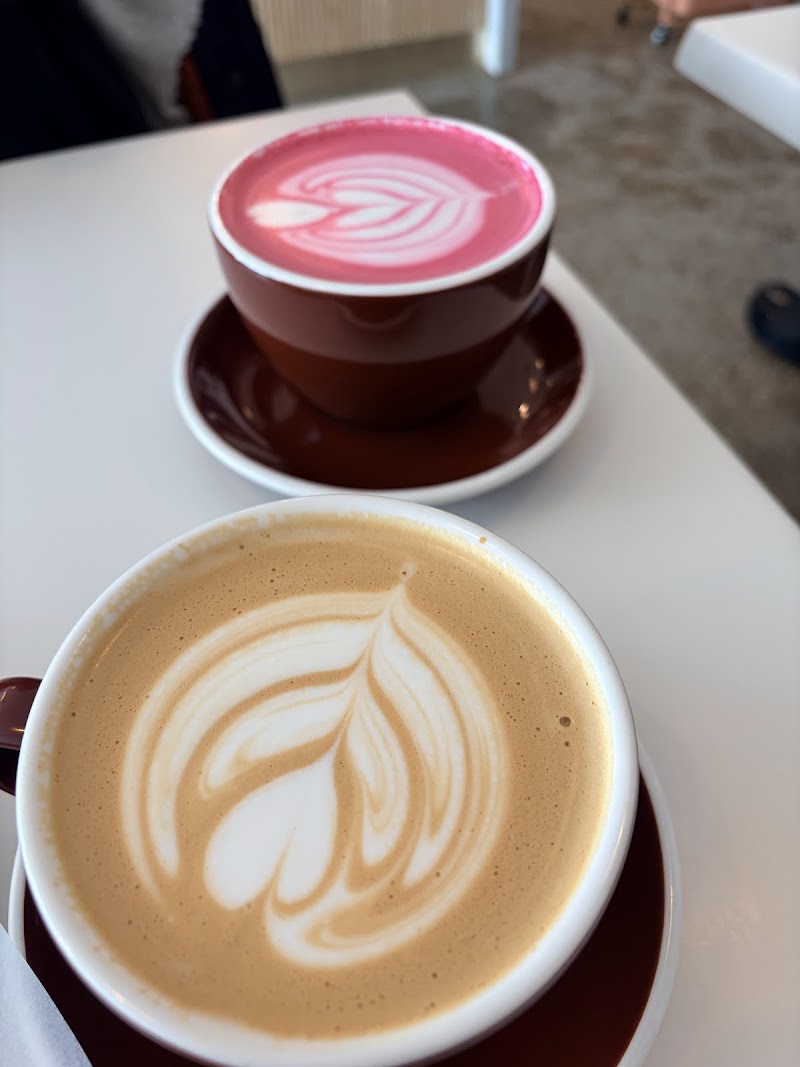 Wet Coffee photo 4