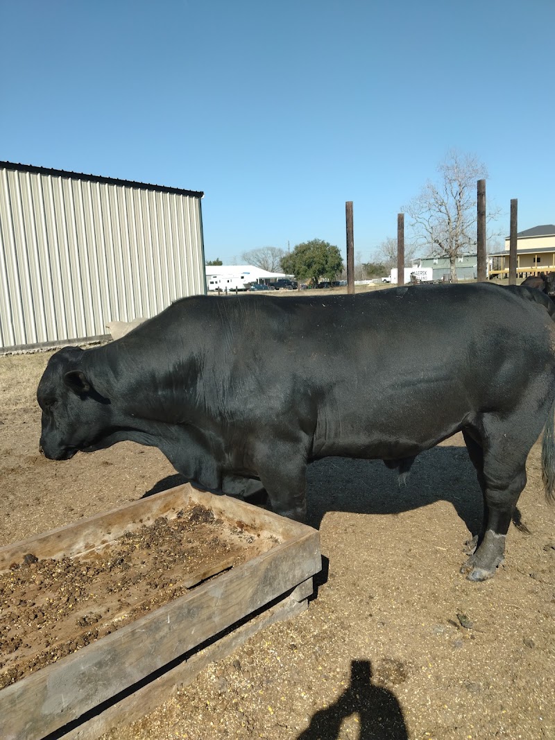 Evans Farms Feed photo