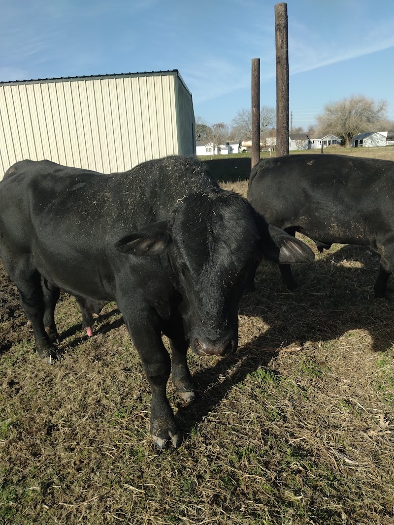 Evans Farms Feed photo