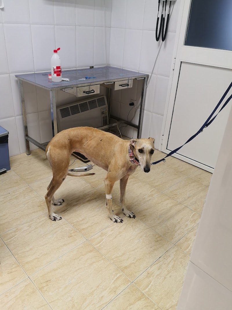 Symay Centro Valdefierro