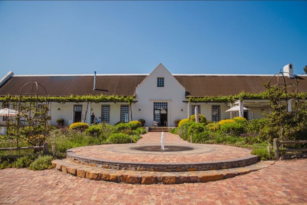 Avondale Wine