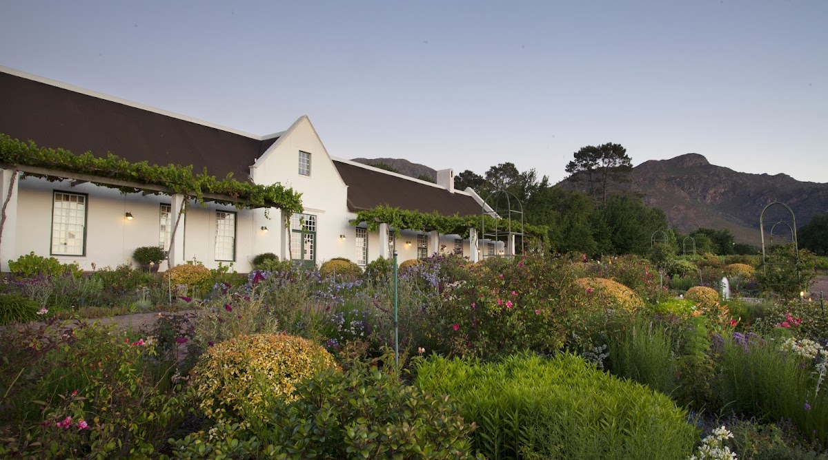 Avondale Wine