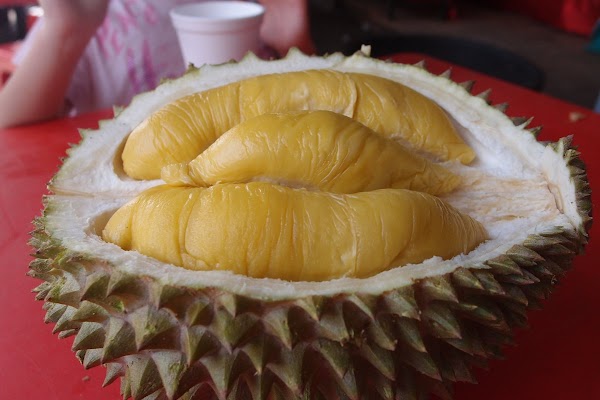 Gerai Durian Acik Ayu/Lemang Tanjung - Photo 1