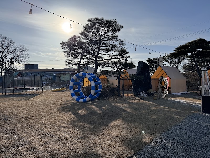 먹핑고 사진 4