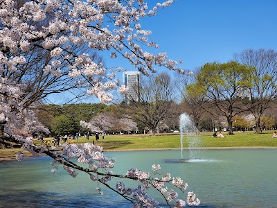 代々木公園