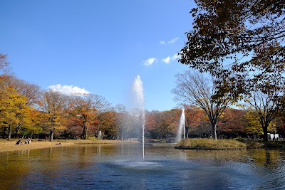 Yoyogi Park - 2