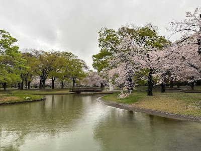 Yoyogi Park - 1