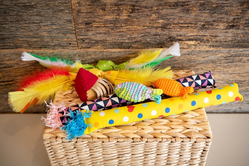 The Cafe Meow photo 2