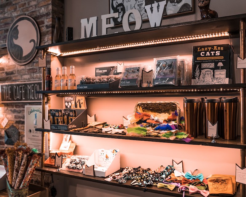 The Cafe Meow photo 1
