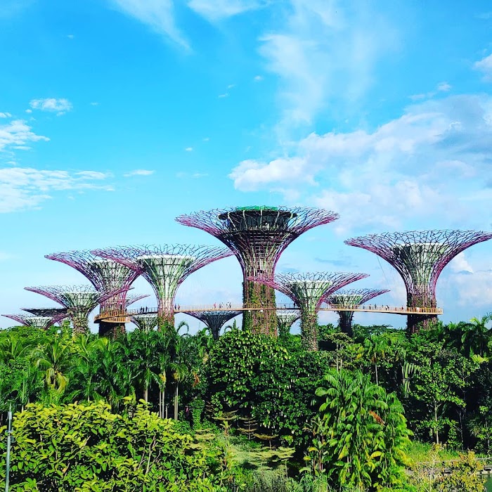Gardens by the Bay fotoğraf 1