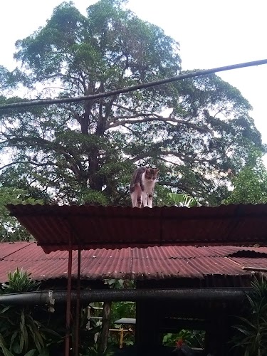 Hotel Hacienda San Miguel