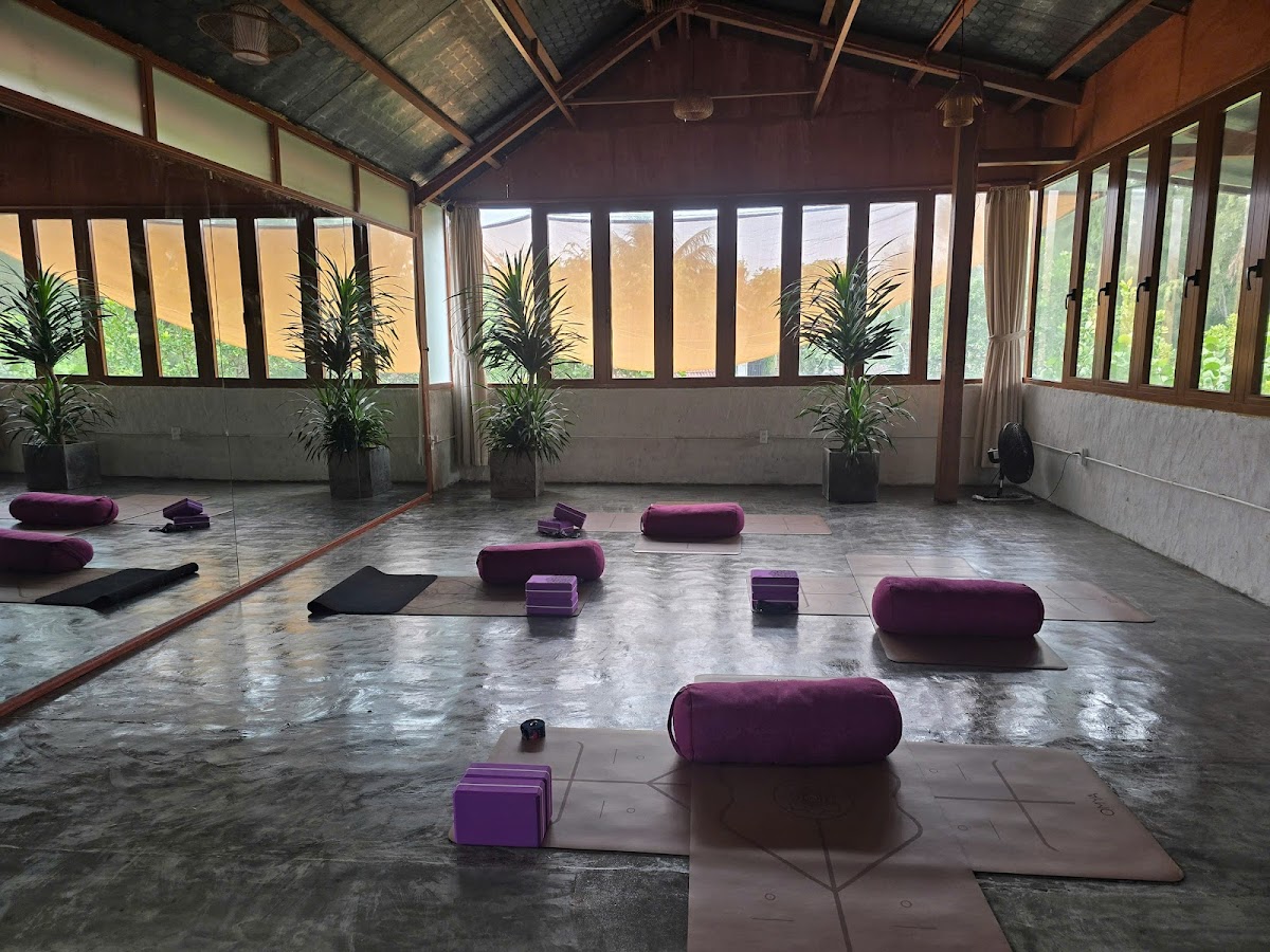 Phin Flow Yoga — 3