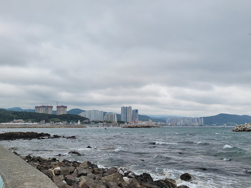해파랑길 8코스 사진 4
