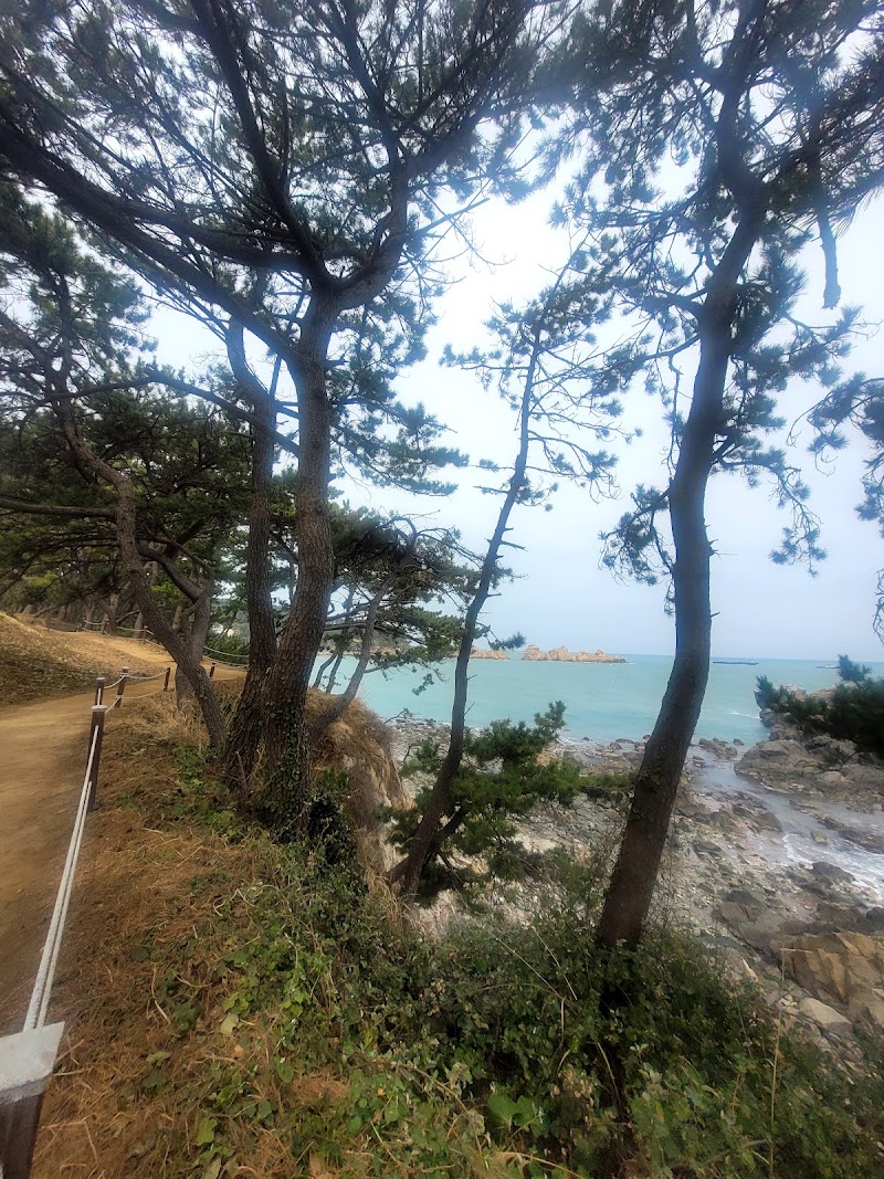 해파랑길 8코스 사진 2