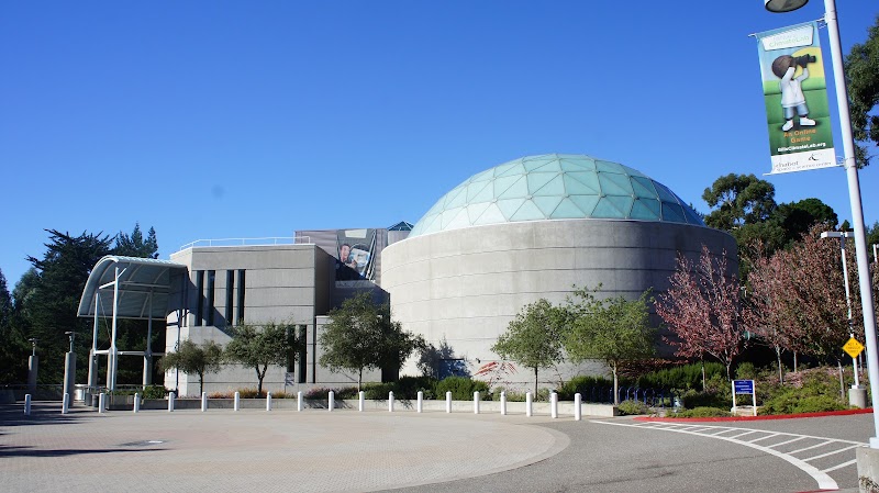 Immersive planetarium shows