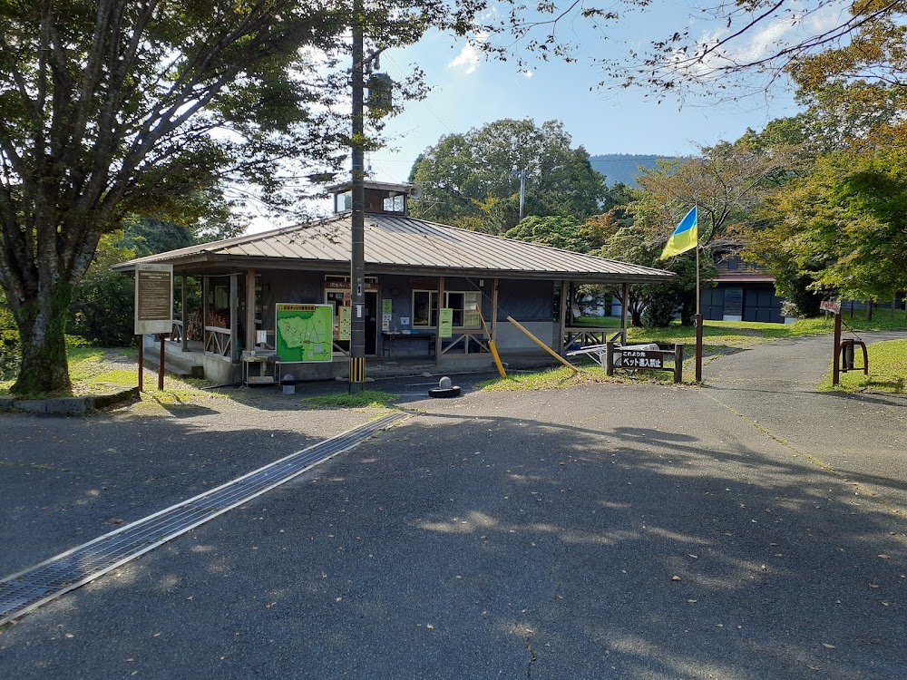 久住高原 沢水キャンプ場