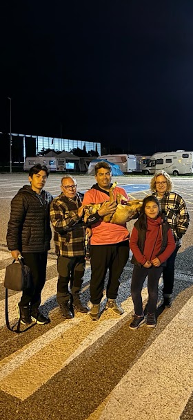 OMAR ALEGRE. Servicios Veterinarios a Domicilio