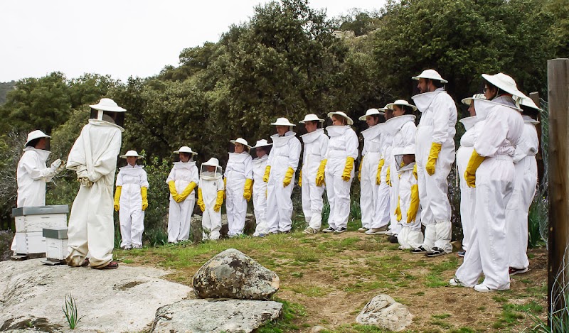 Aula Apícola Sierra de Hoyo