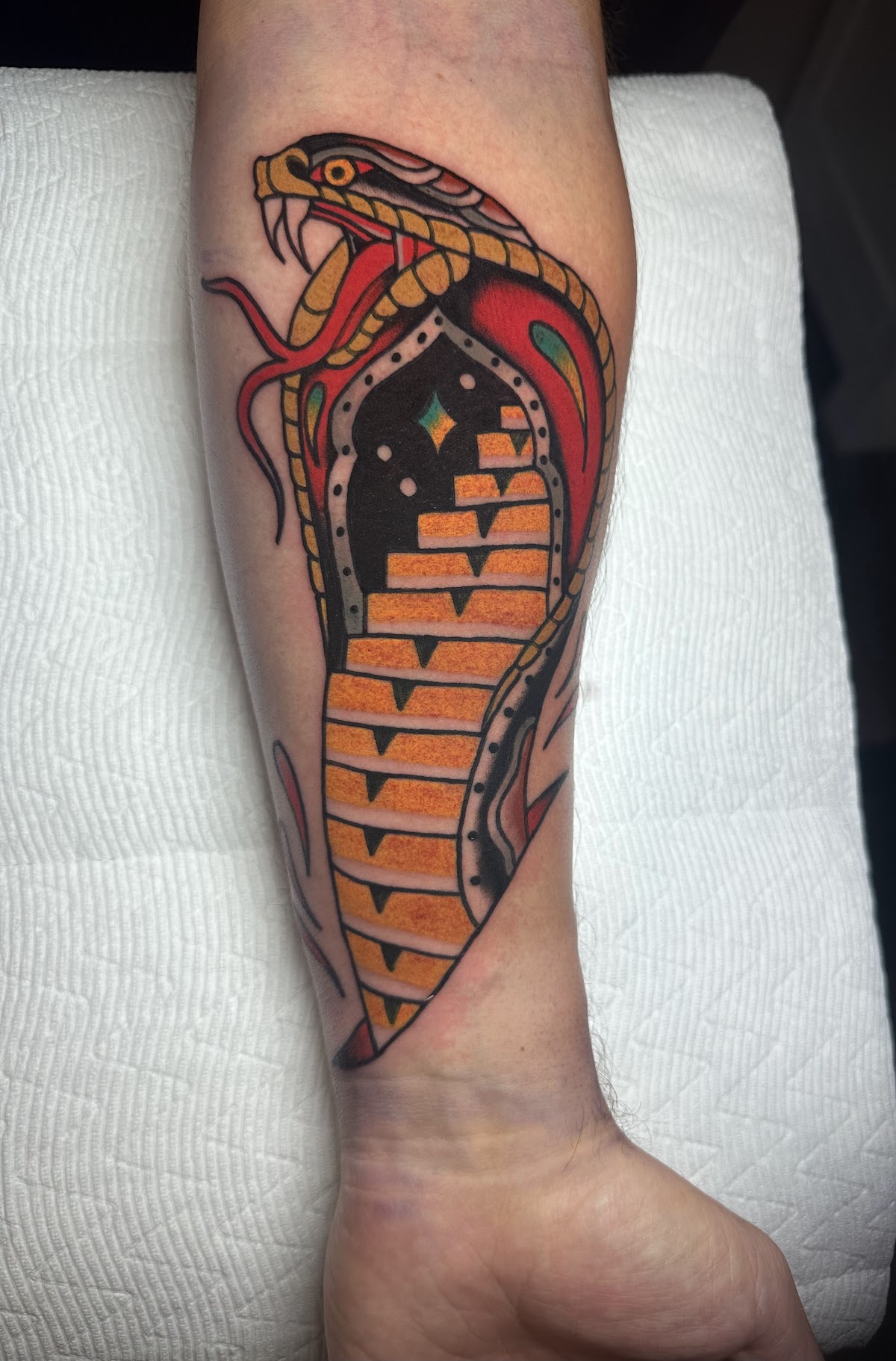 Black Hydra Tattoo tattoo parlor in Fitchburg, WI