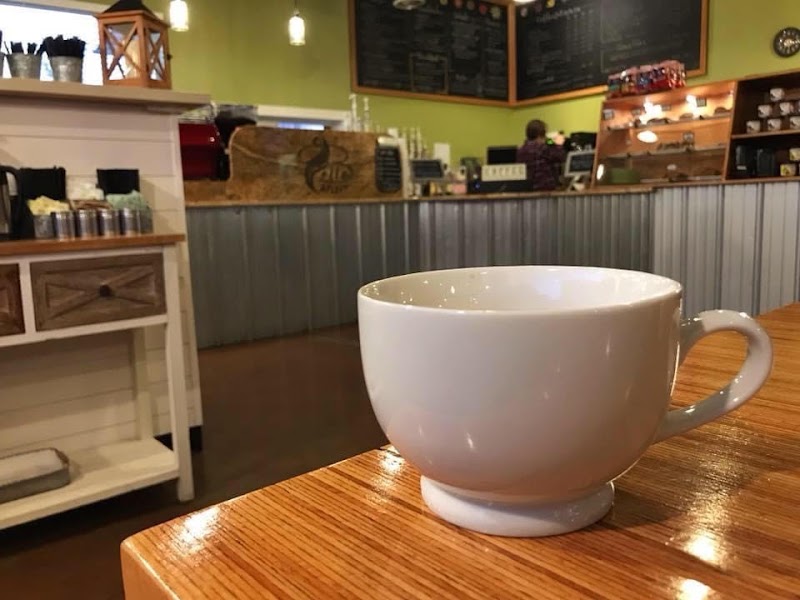 Steamers West photo 2