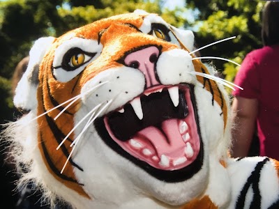 Dyer, Garofalo, Mann & Schultz - Car accident lawyer in Dayton