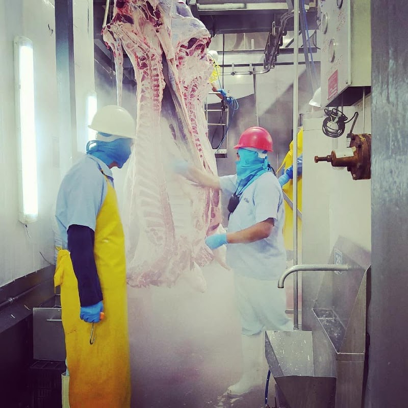 Certificacion HALAL QUALITY MEXICO photo 4