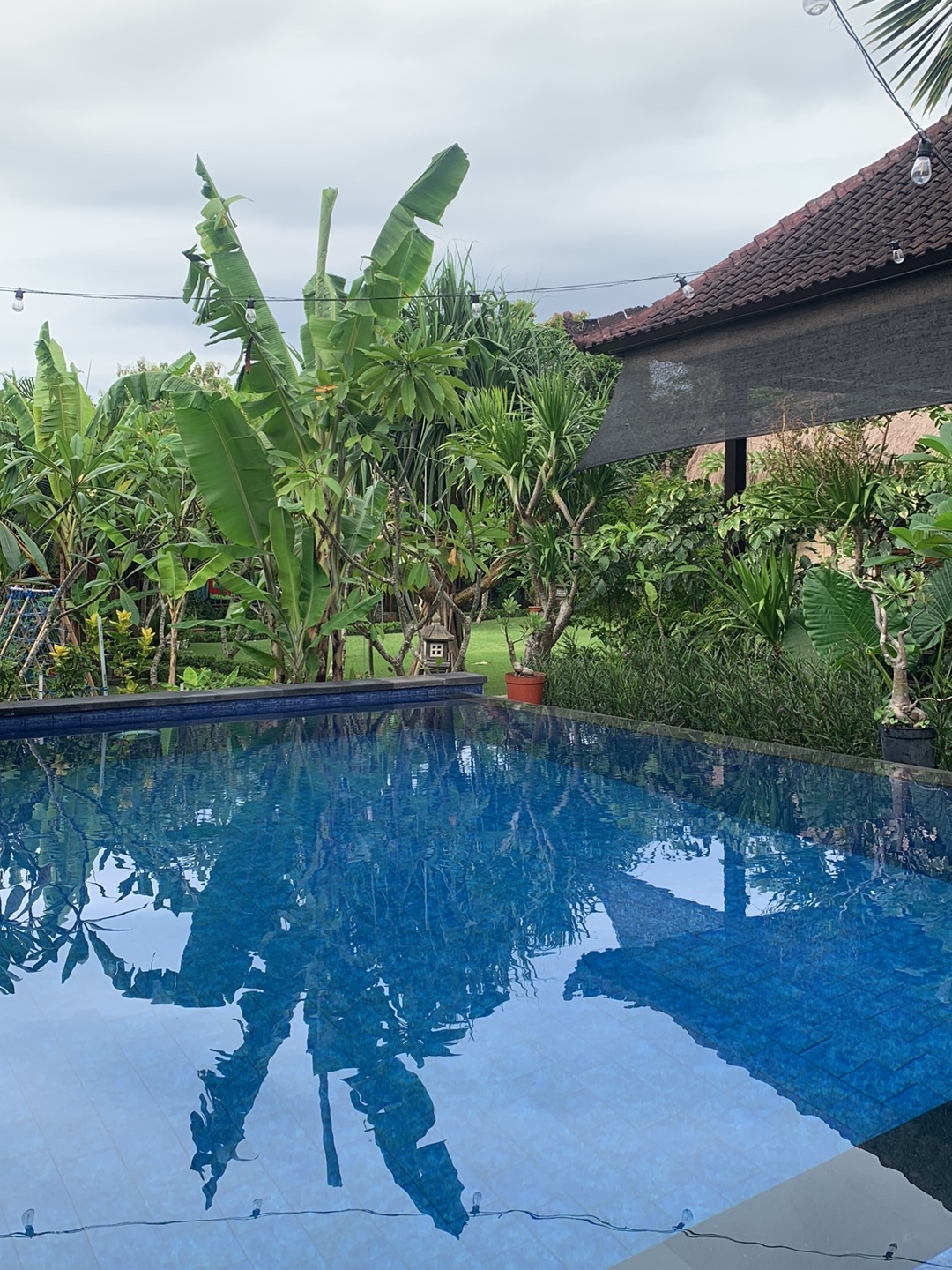 Island Garden Huts & Yoga Shala — 4