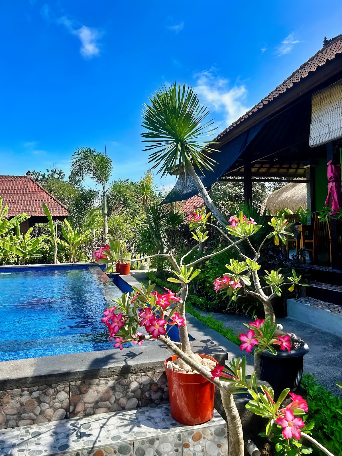 Island Garden Huts & Yoga Shala
