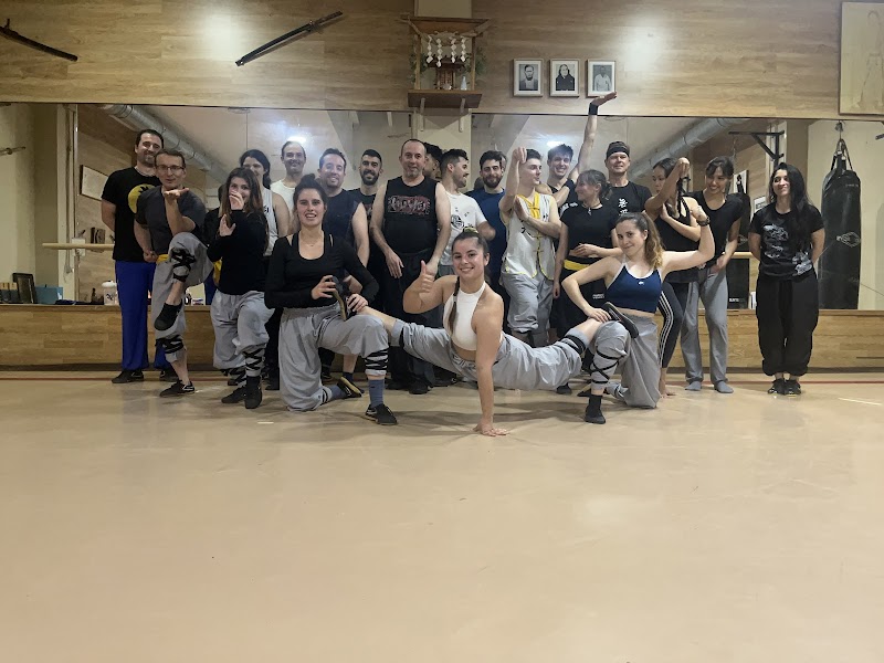 School Shaolin Huwei