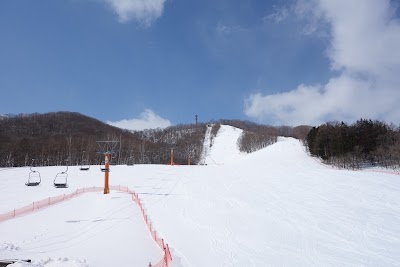 Shintokuyama Ski Area - 1