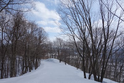 Shintokuyama Ski Area - 3