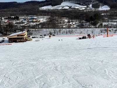 Shintokuyama Ski Area - 6