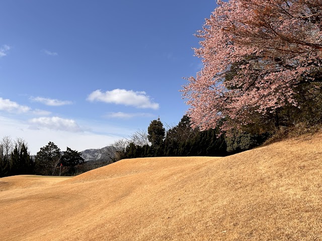 Atami Golf Club - Photo 5