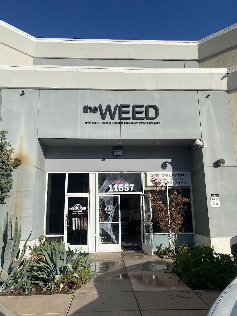 W.E.E.D. dispensary photo