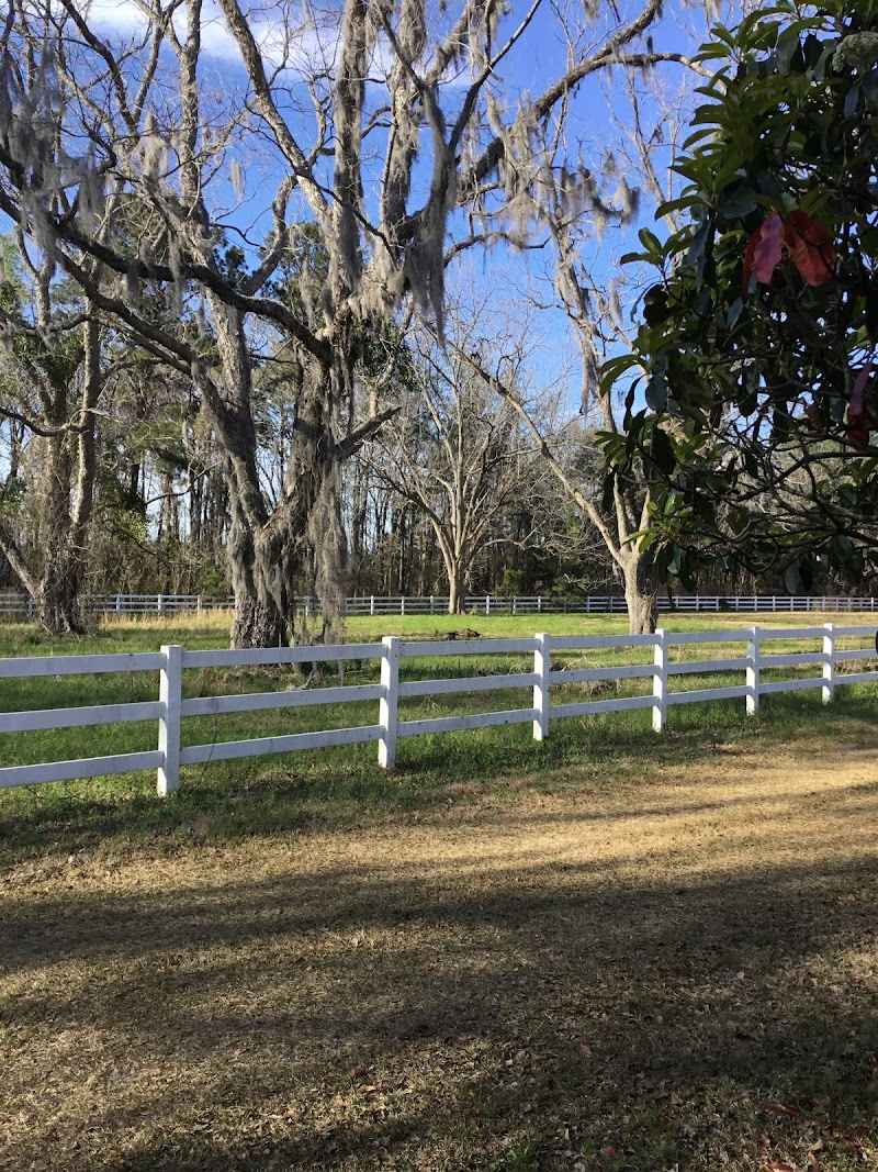 Palmetto State Hunting Lodge, LLC - Photo 4