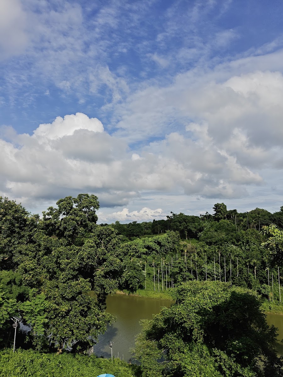 Lembucherra Lake Google photo 4
