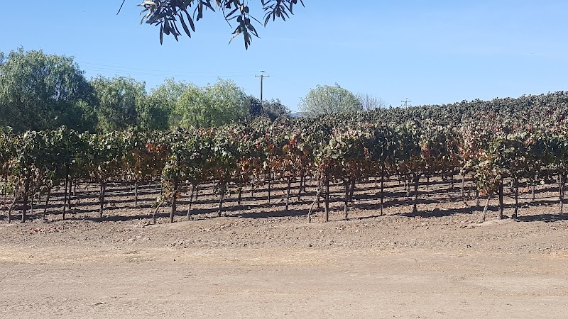 Guerra Cellars