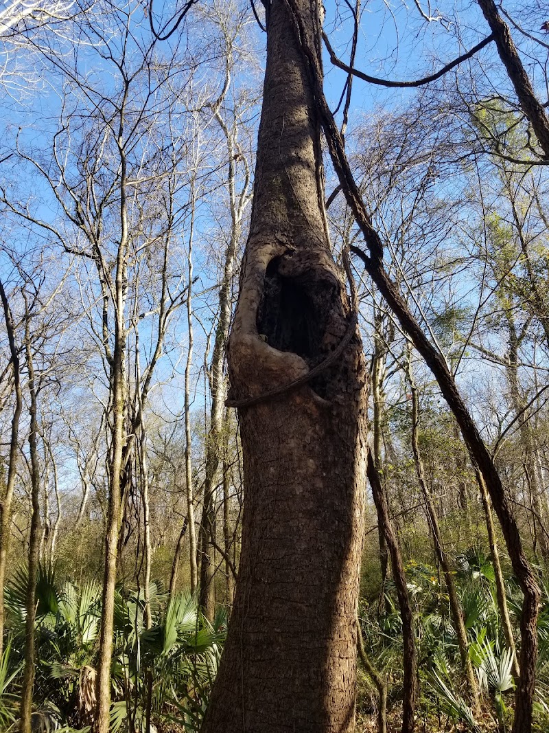 Acadiana Park photo 2