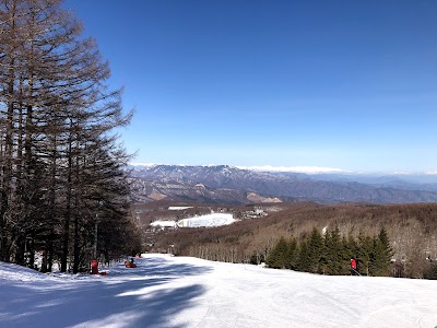 Shirakaba Kogen Kokusai Ski Area - 1