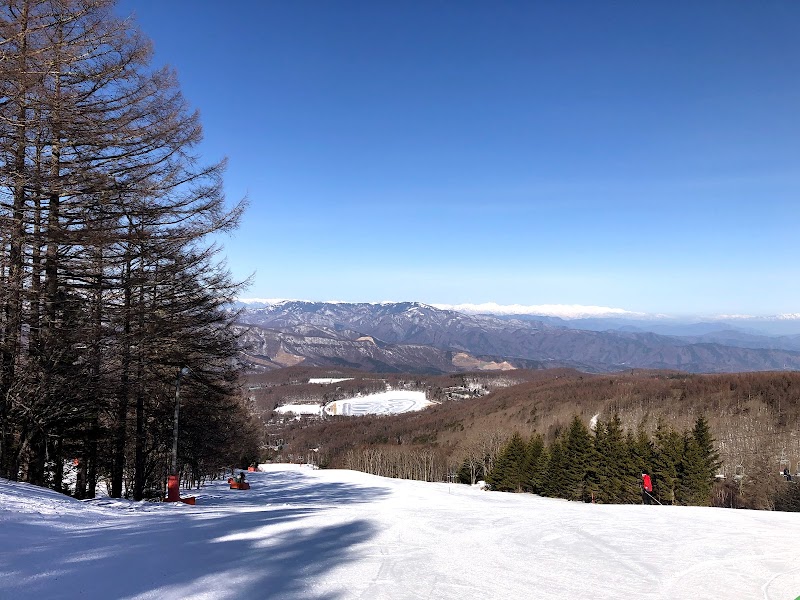 Shirakaba Kogen Kokusai Ski Area