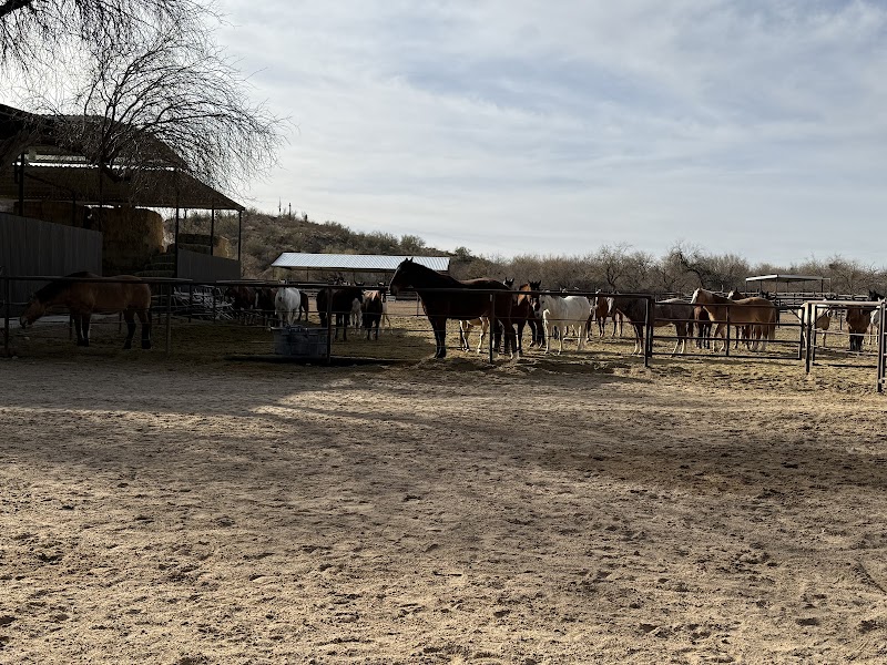 Kay El Bar Guest Ranch - Photo 5