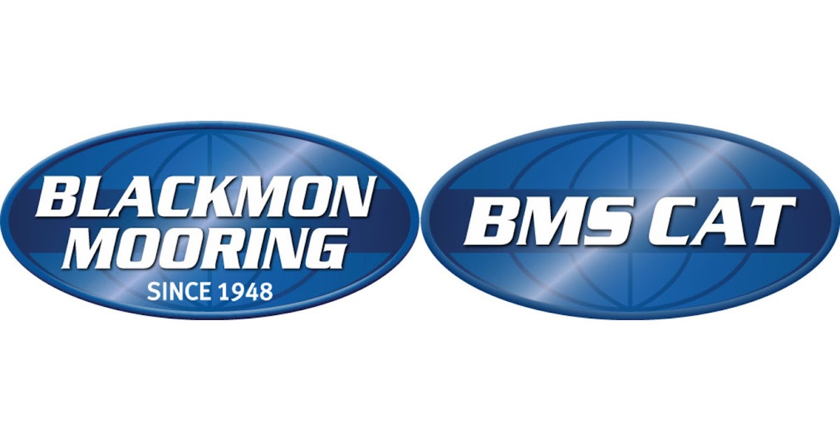 BMS CAT — photo