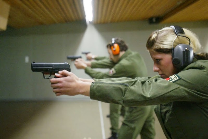 Big Dawg Firearms, LLC photo