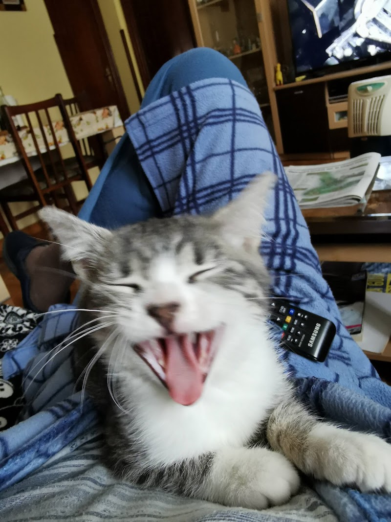 Clínica Veterinaria Corvera