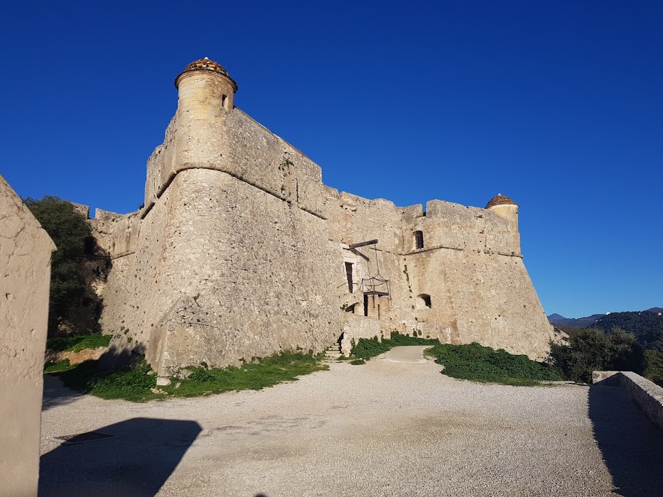 Parc du Mont Boron fotoğraf 1