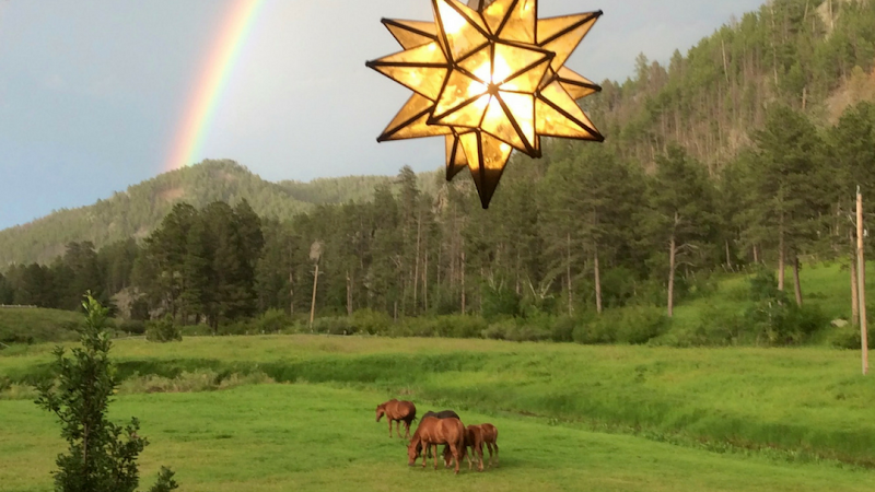 Double Diamond Ranch - Photo 6