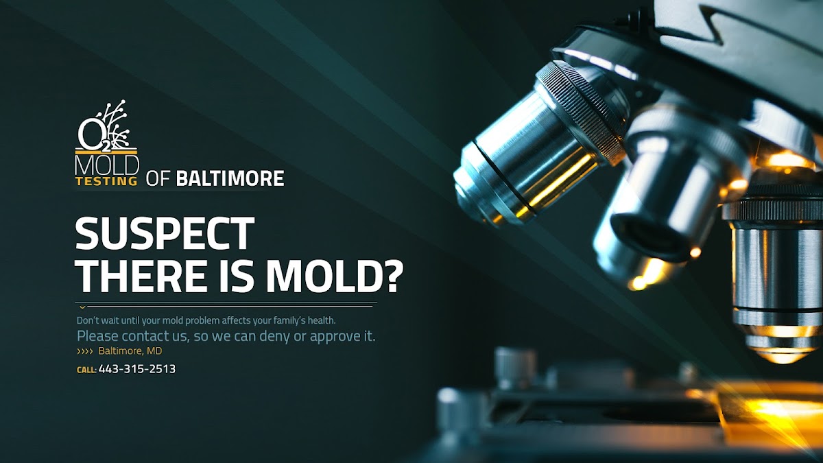 O2 Mold Testing of Baltimore — photo